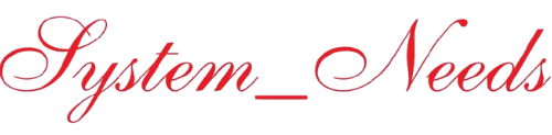 System Needs Logo
